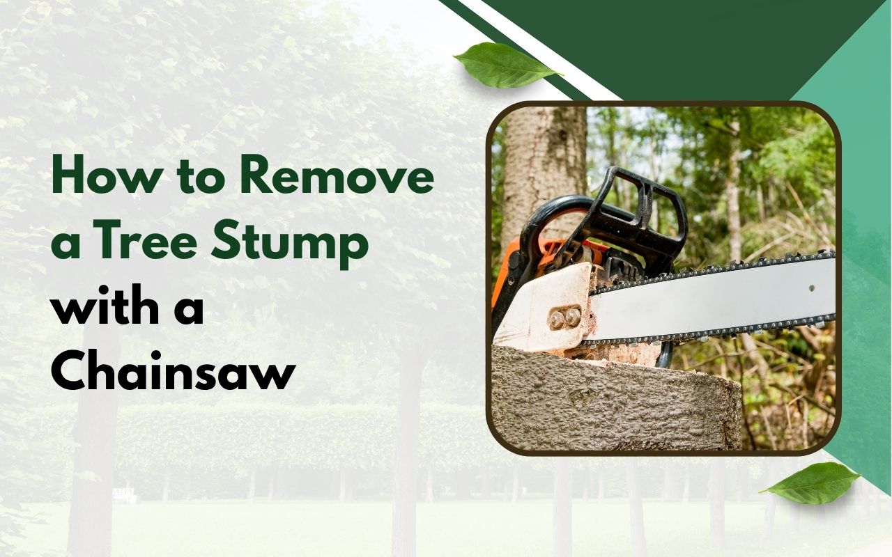 cutting a tree stump with a chainsaw