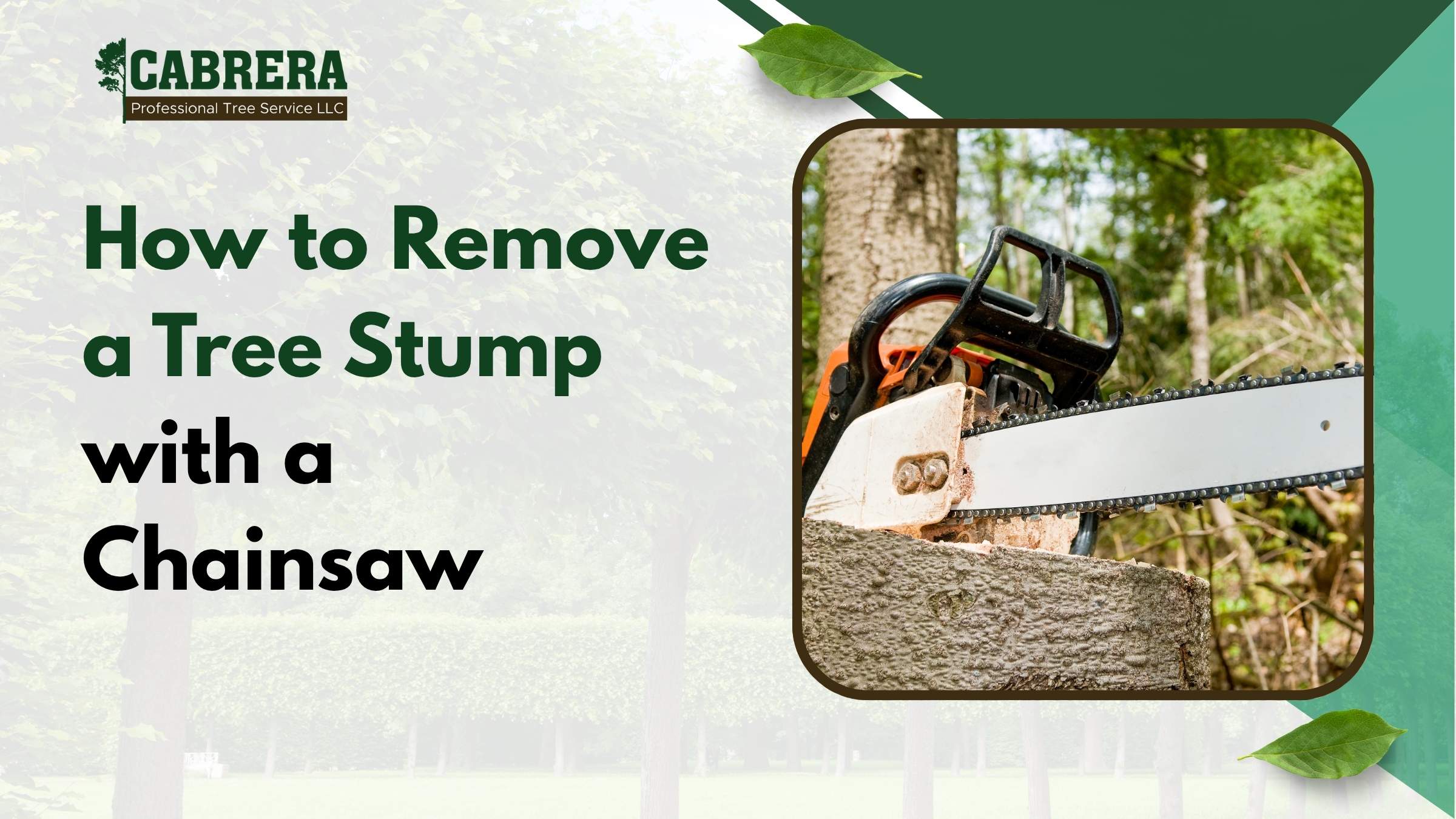 How to Remove a Tree Stump with a Chainsaw | Safe Ways Cabrera ...