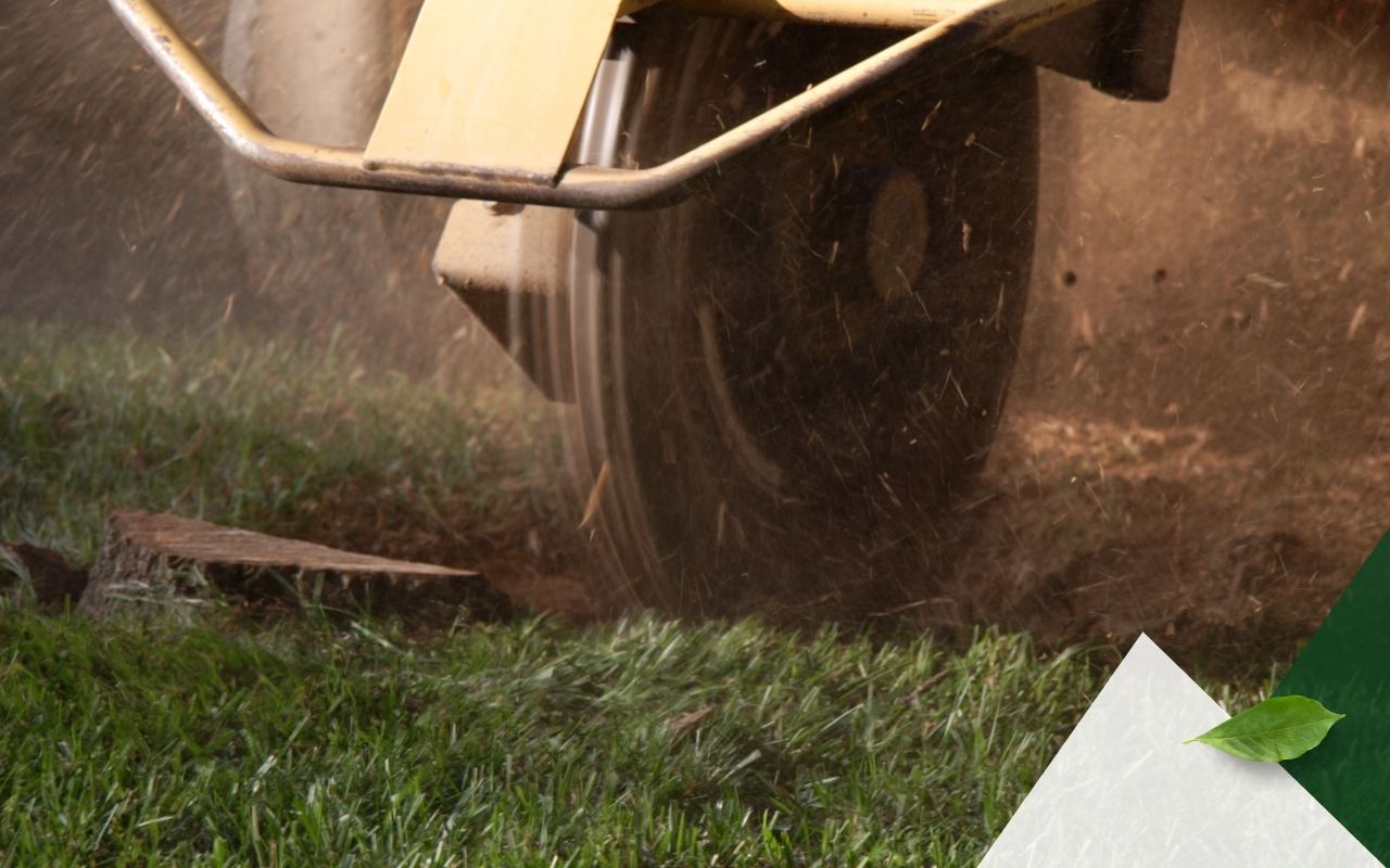 Professional stump grinder machine