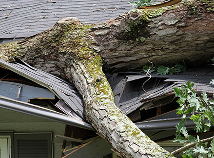 Storm Damage