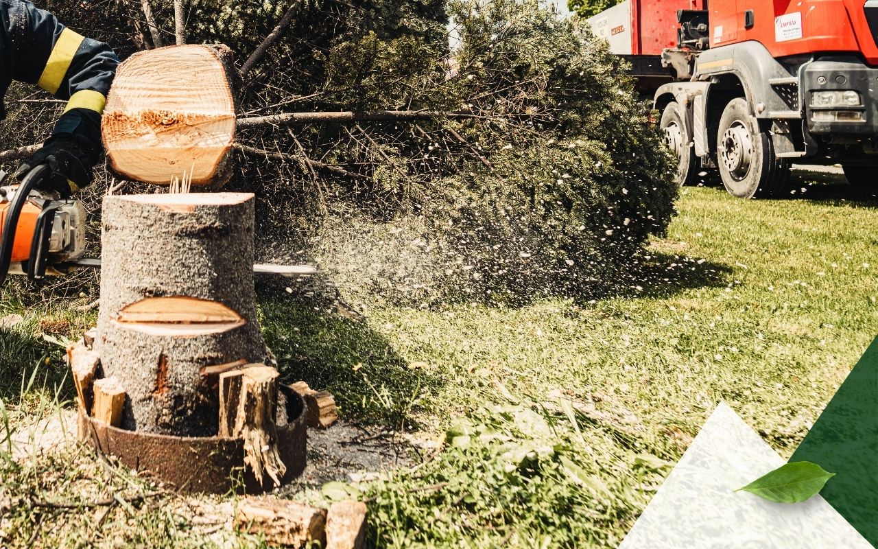 Worker cutting tree stump with chainsaw in Fyffe, AL
