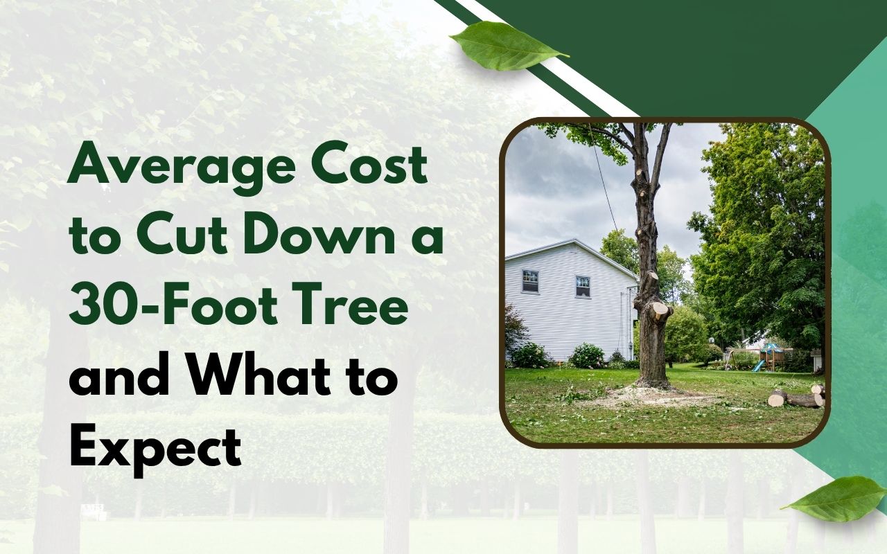 Worker cutting down a healthy 30-foot tree in a backyard