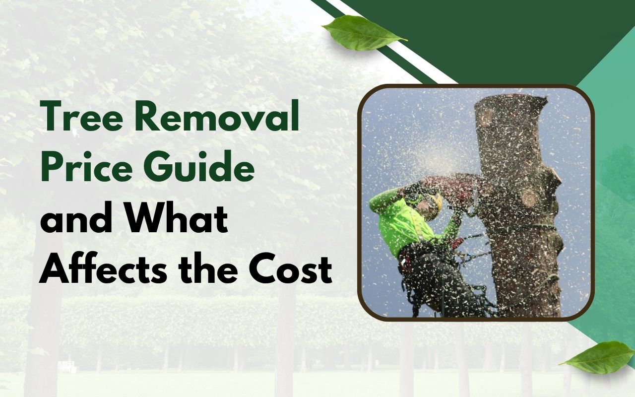 Professional team cutting down a large tree