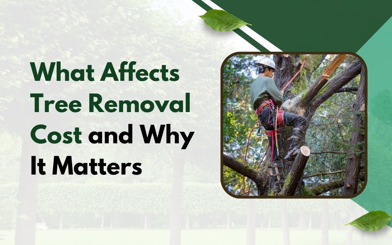 Worker using a saw to remove a large tree section