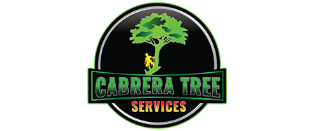 Cabrera Professional Tree Service LLC
