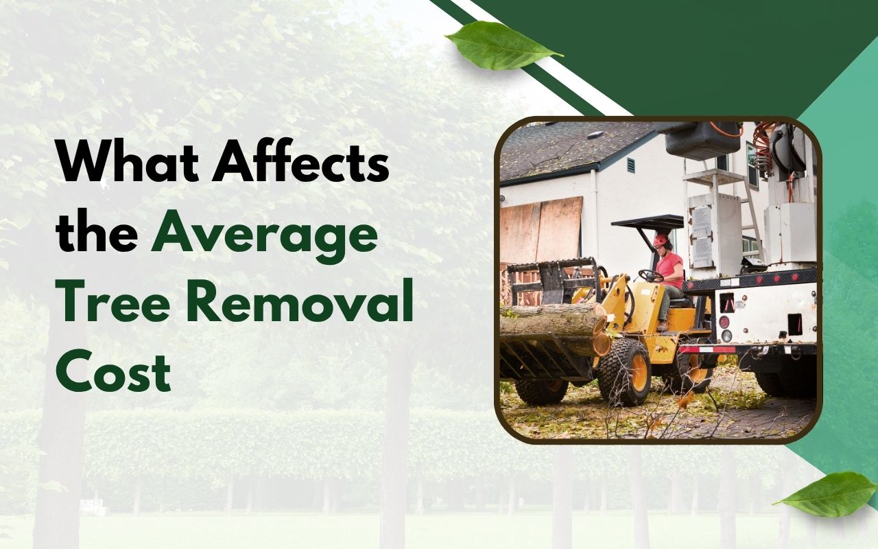 Professional tree removal equipment positioned in a backyard