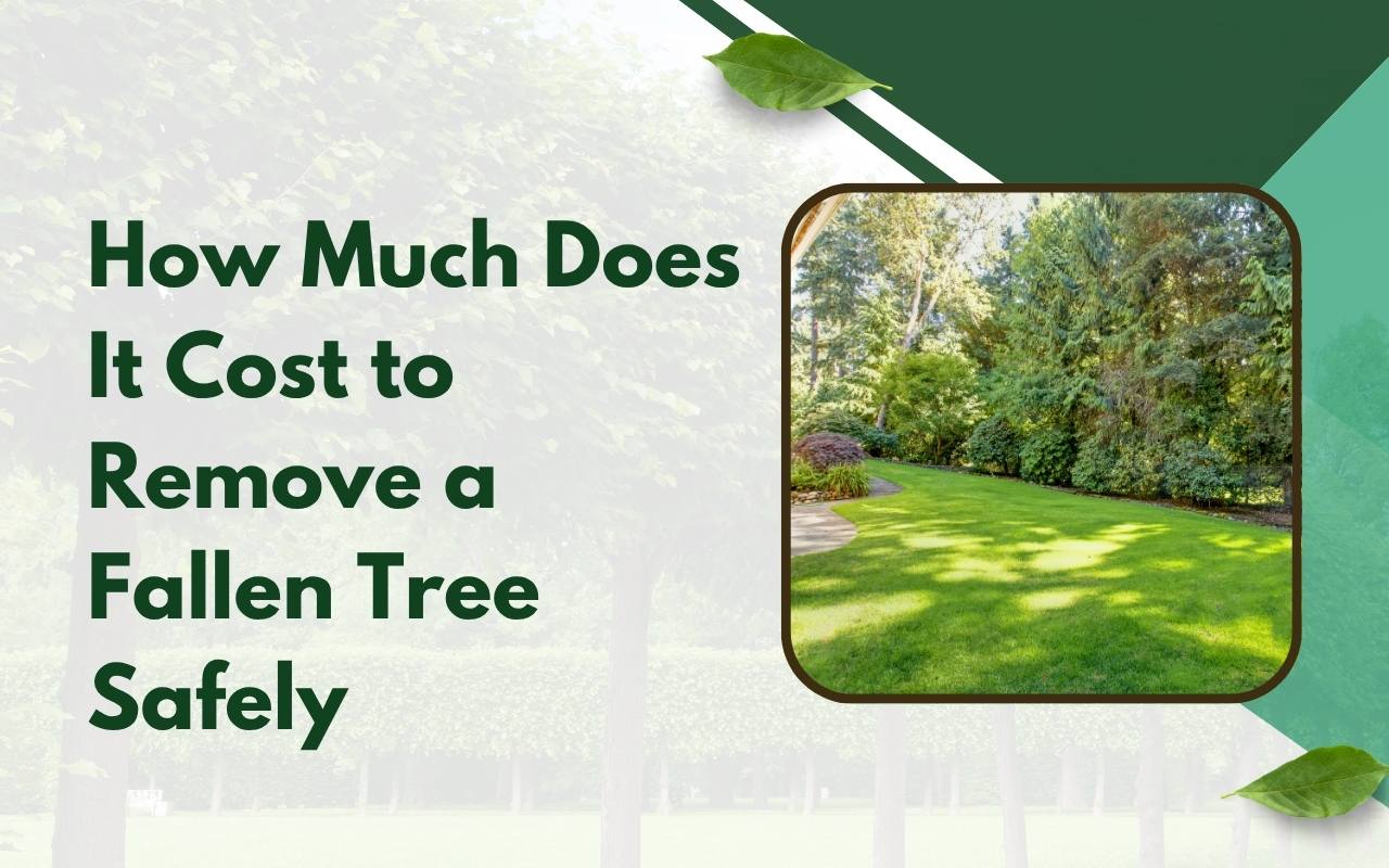 Clean yard after emergency tree removal and debris haul