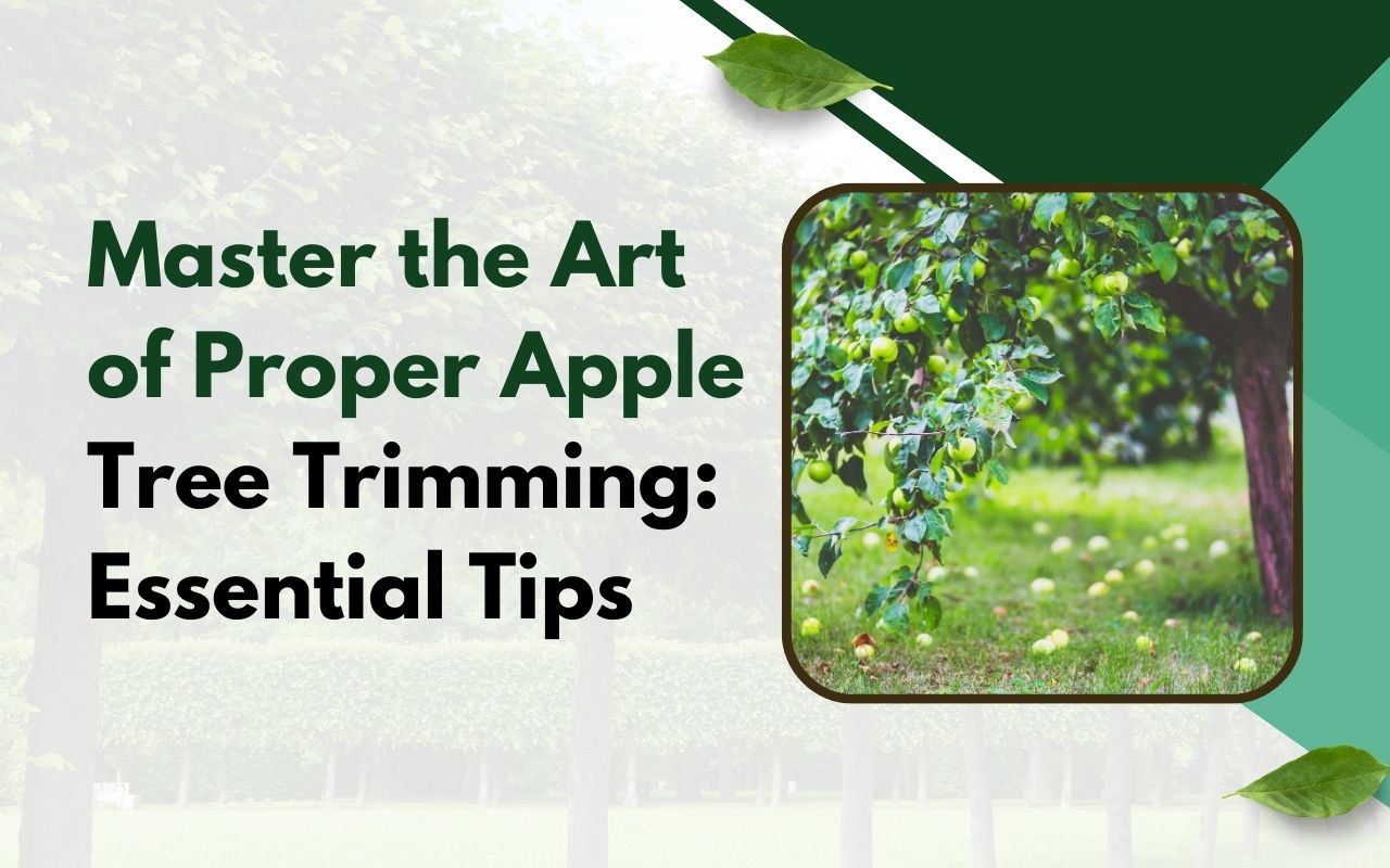 Essential tools for proper apple tree trimming, including pruners, loppers, and saws.