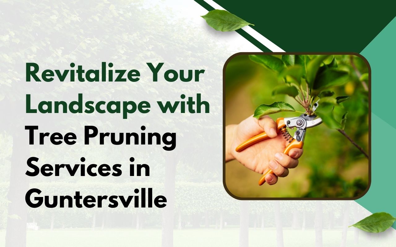 Certified arborist performing tree pruning services in Guntersville for healthier trees