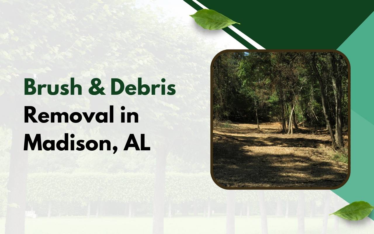 Lot clearing services in Madison AL