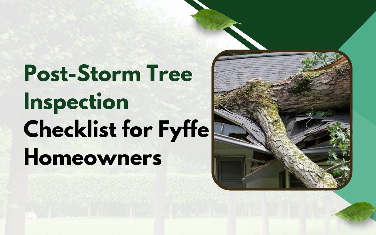 Homeowner using post-storm tree inspection checklist Fyffe