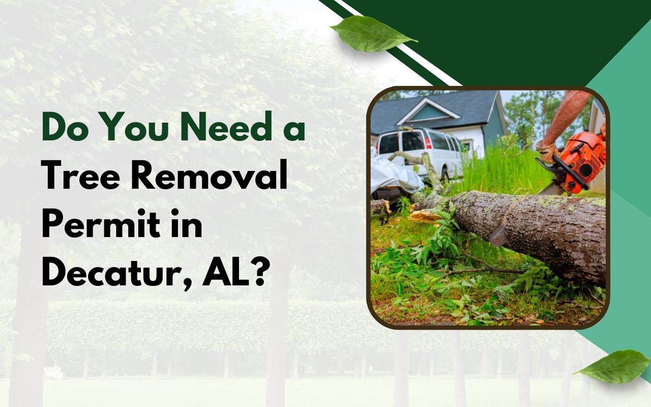 Tree removal permit Decatur AL application guide