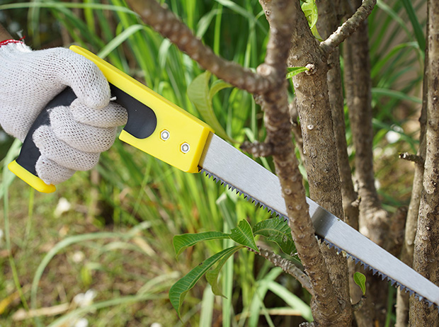 Skilled tree pruning company in Decatur, AL protecting property