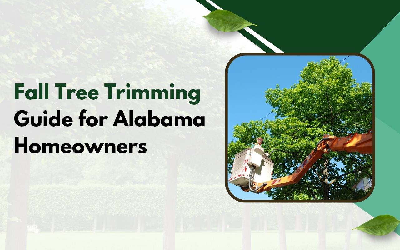 Fall tree trimming guide Alabama for yard safety