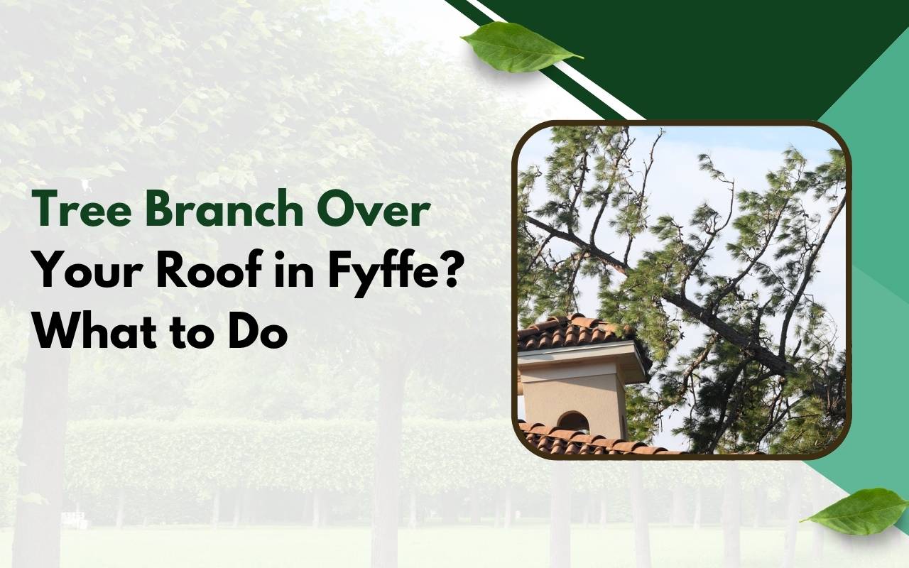 Tree branch over roof Fyffe at a residential home