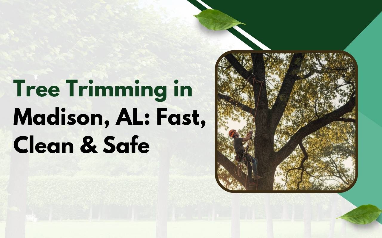 Professional tree trimming Madison AL service