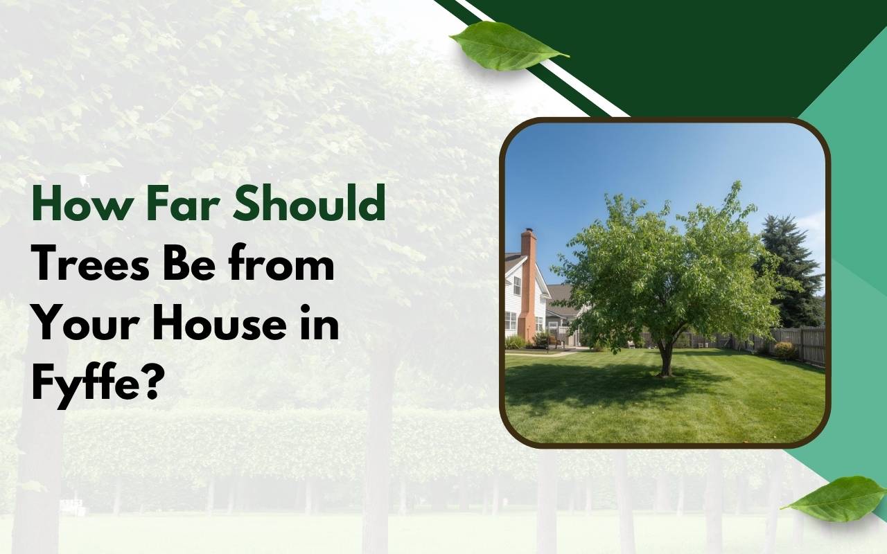 Proper distance of trees from house in Fyffe to protect foundation and maintain safety