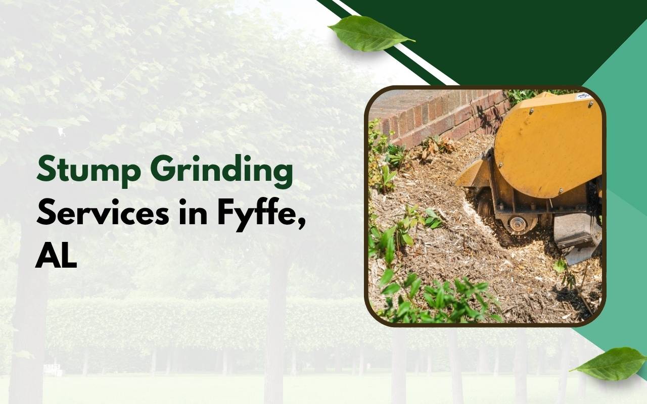 outine tree maintenance near homes in Fyffe to prevent root and branch damage