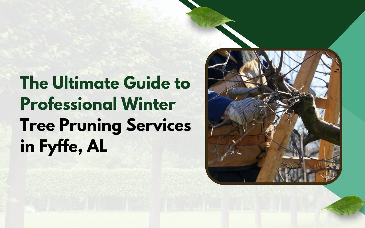 Professional Winter Tree Pruning Services in Fyffe, AL improving a residential front yard oak tree in winter
