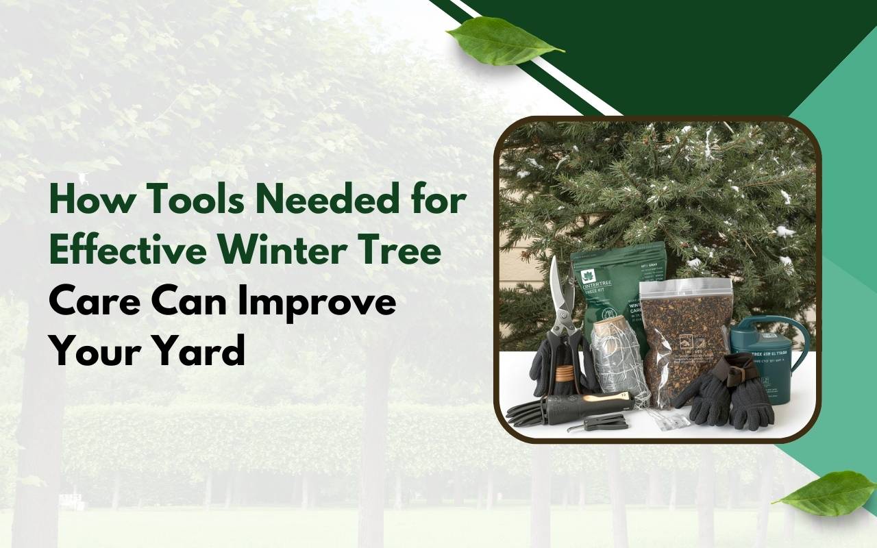 Basic kit showing Tools Needed for Effective Winter Tree Care for homeowners