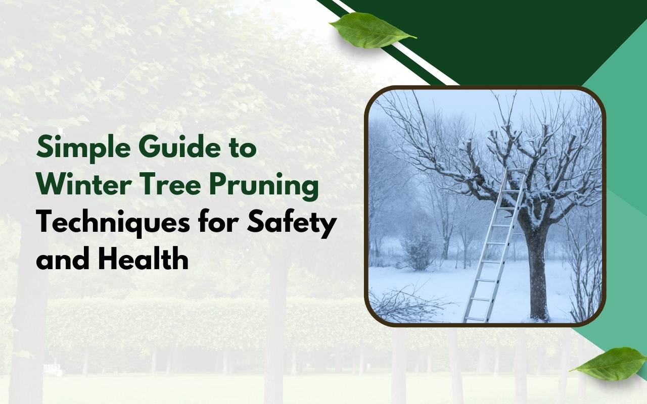 Homeowner applying Winter Tree Pruning Techniques for Safety and Health in a snowy backyard.