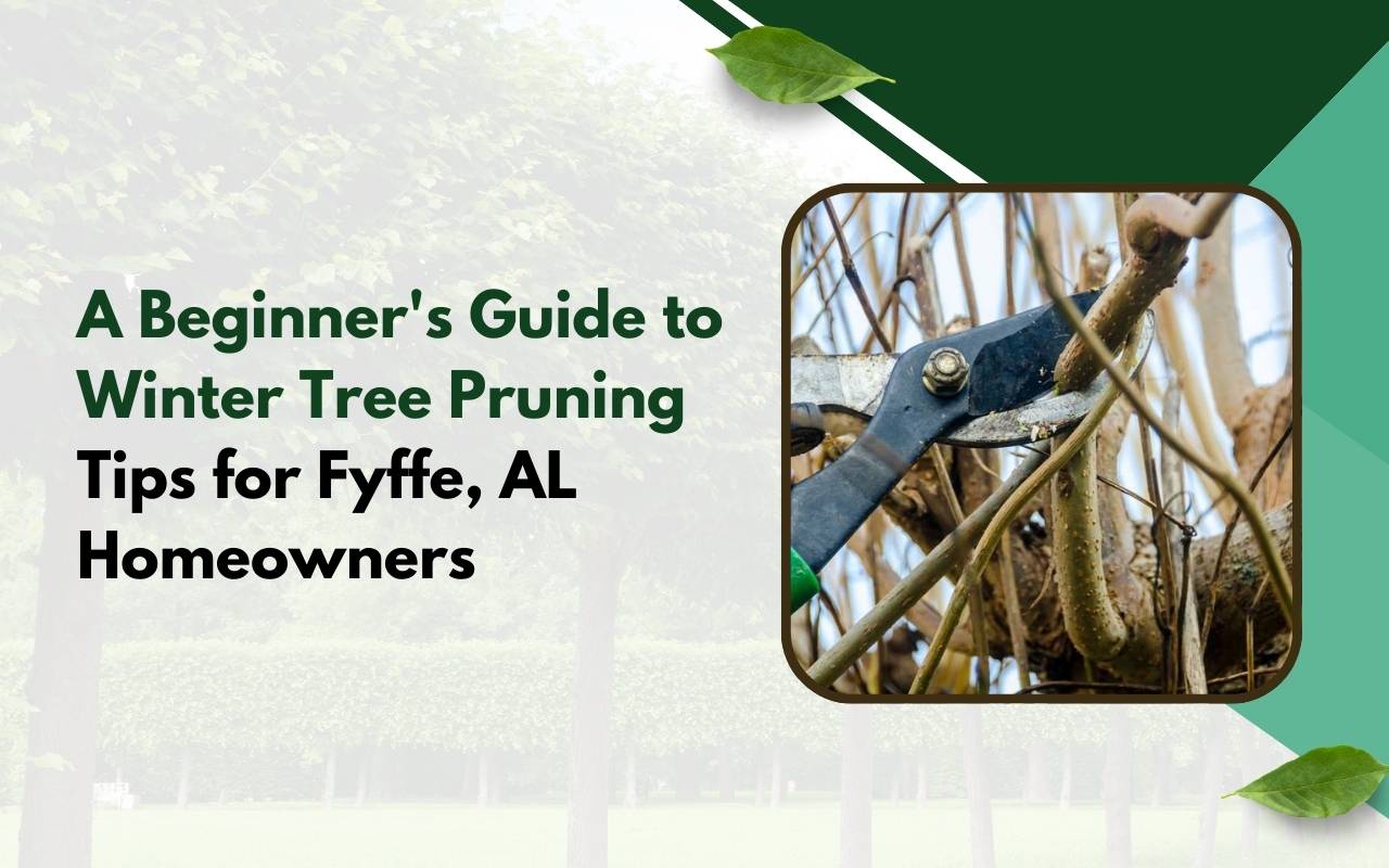 Winter Tree Pruning Tips for Fyffe, AL Homeowners applied in a tidy, well-trimmed residential backyard