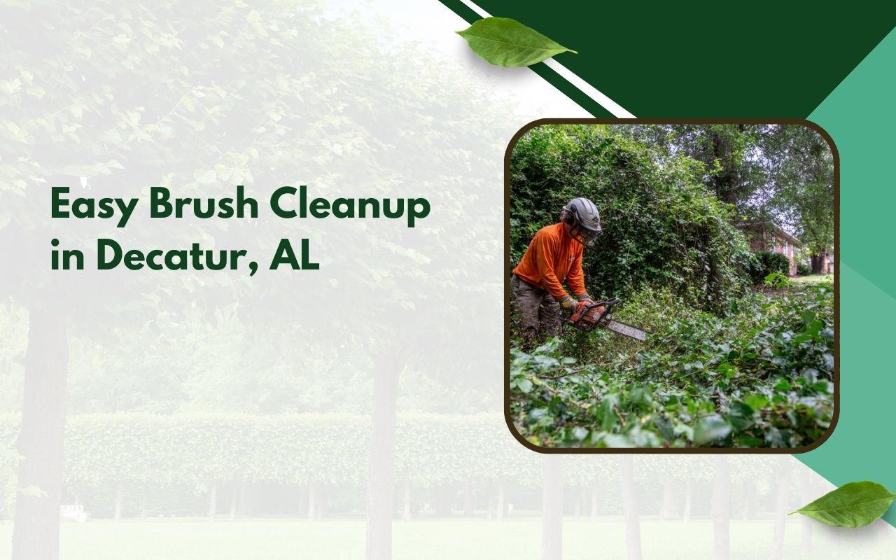 Brush Removal in Decatur, AL clearing dense yard overgrowth safely