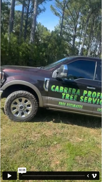 Tree Services - Cabrera Professional Tree Service LLC