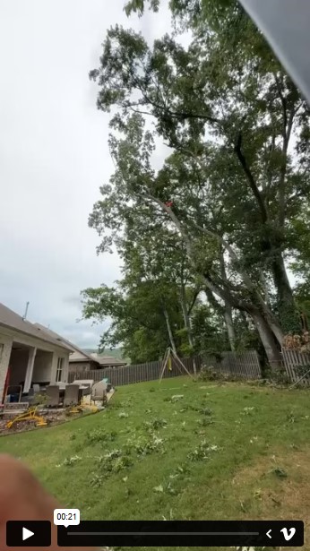 Tree Services - Cabrera Professional Tree Service LLC