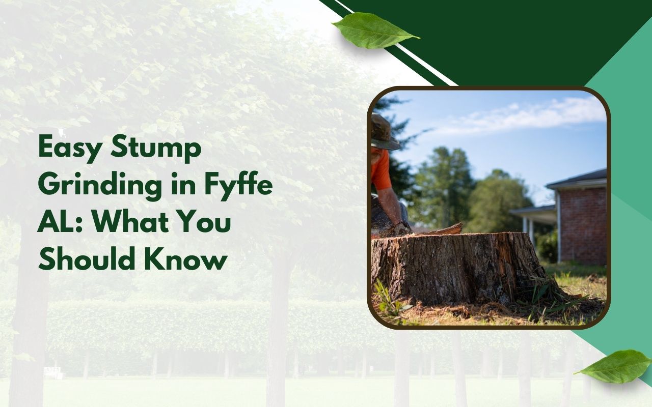 Stump grinding in Fyffe AL removing a yard stump safely