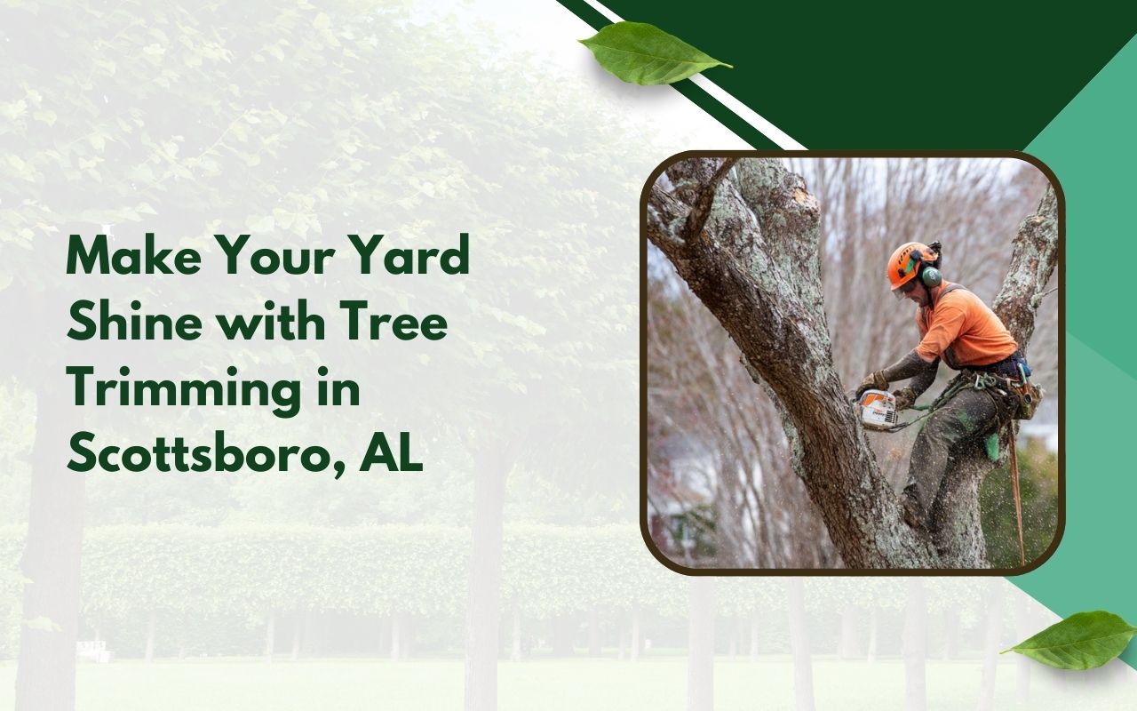 Tree trimming in Scottsboro AL improving yard safety by removing risky limbs