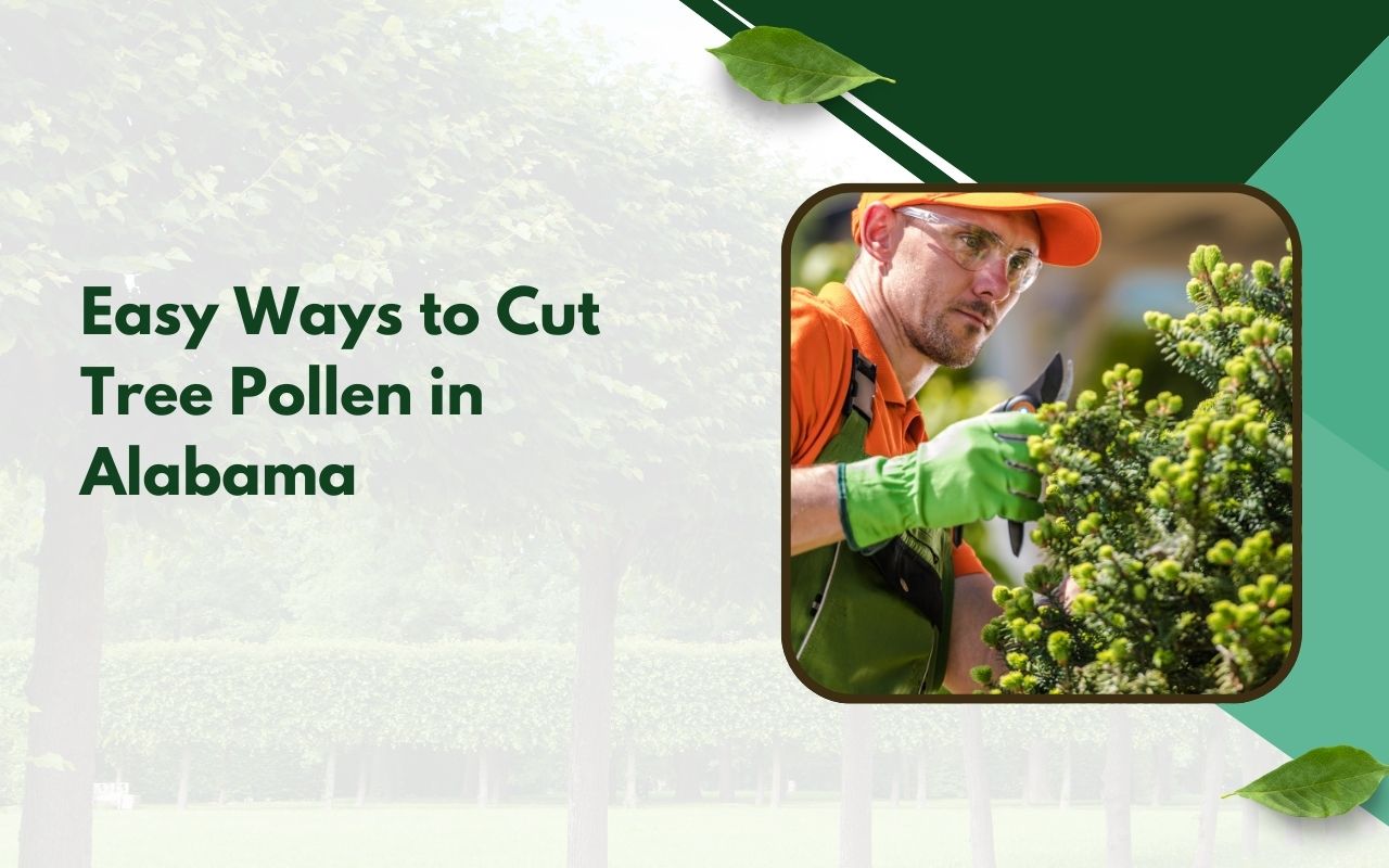 Cleanup method after trimming to support tree pollen reduction trimming tips in Alabama