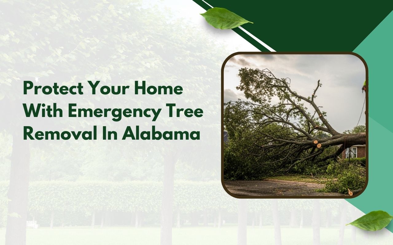 emergency tree removal in Alabama after a severe storm