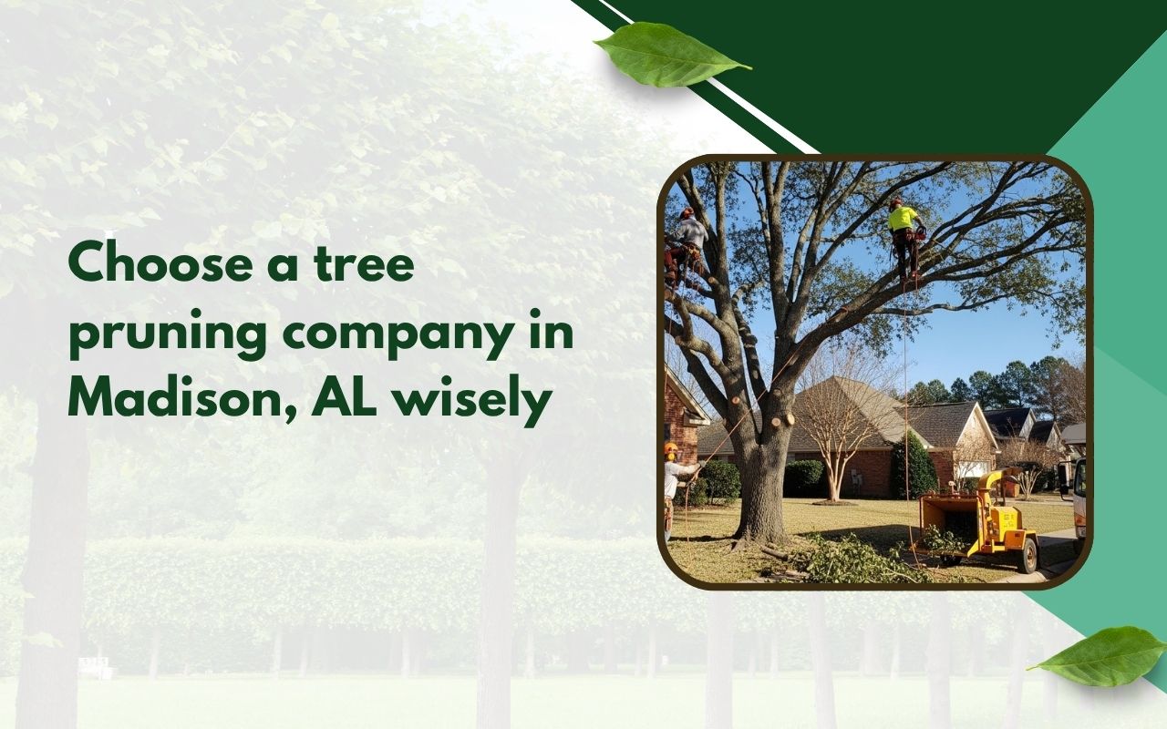 Tree pruning company in Madison, AL working on a front yard tree