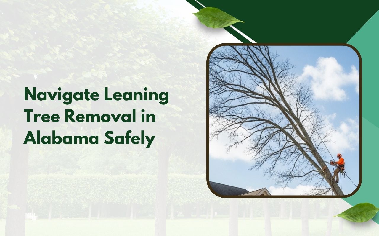 professional leaning tree removal in Alabama for a tilted tree