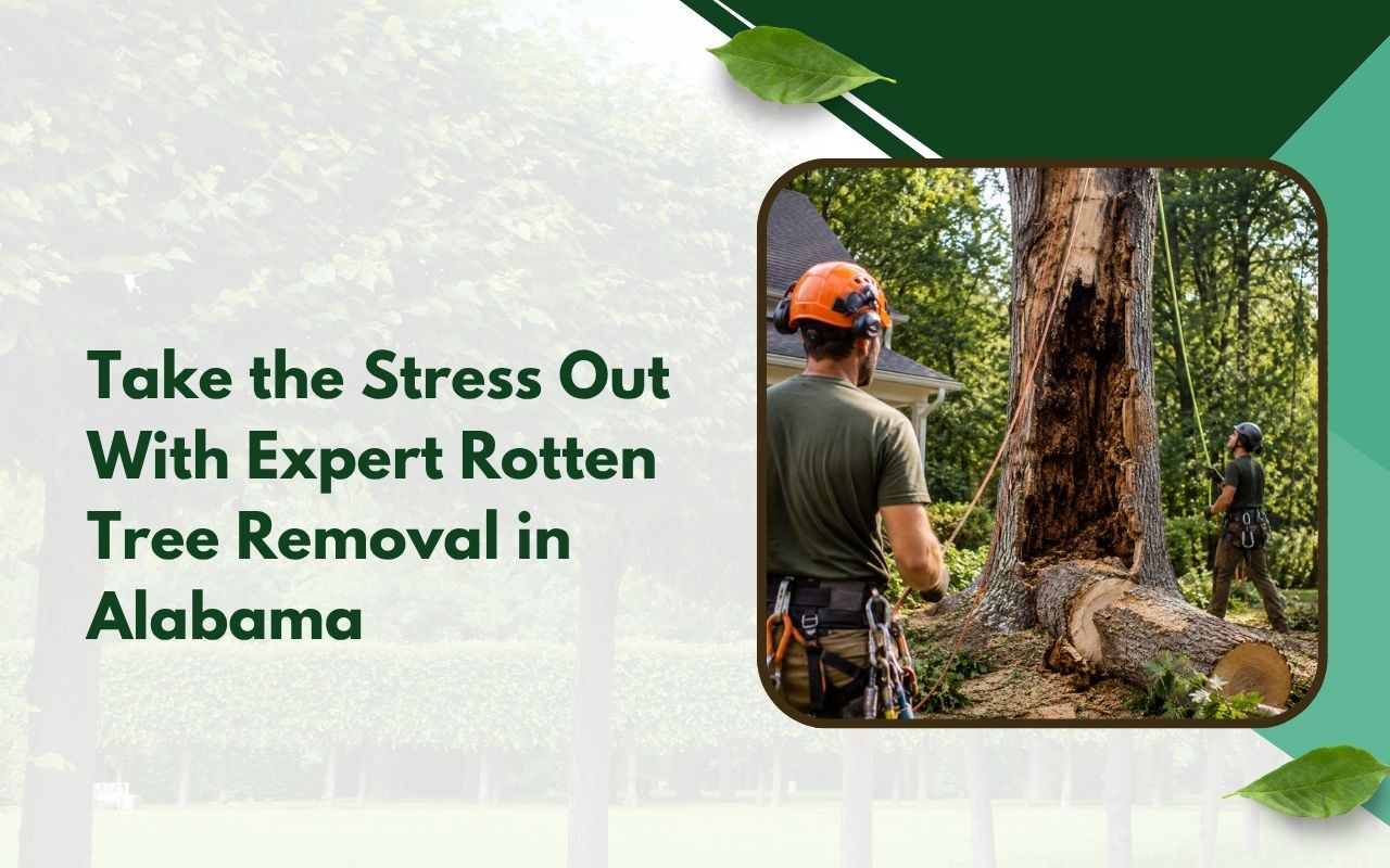 Professional crew handling rotten tree removal in Alabama near a home