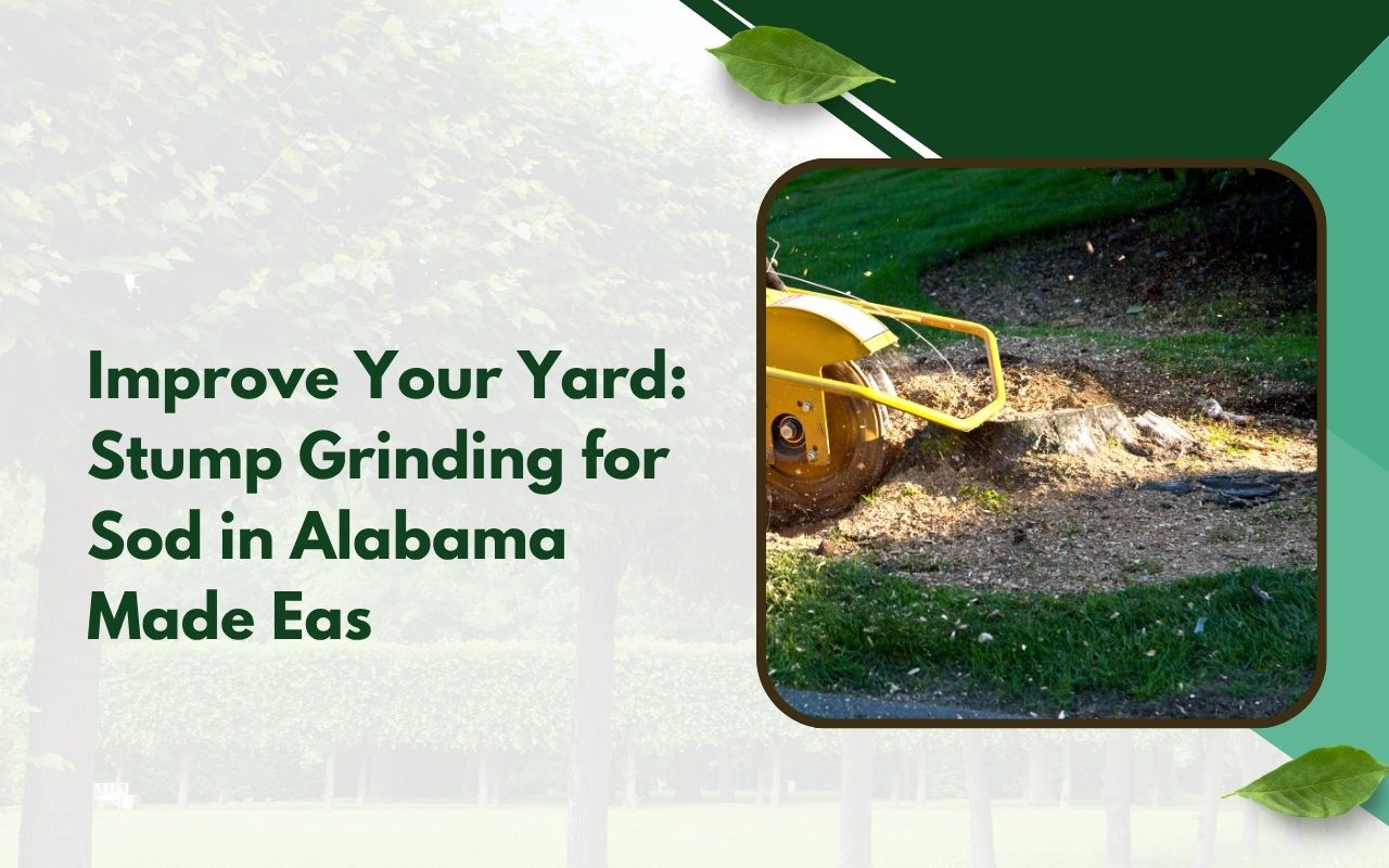 Stump grinding for sod in Alabama to prepare a smooth lawn area