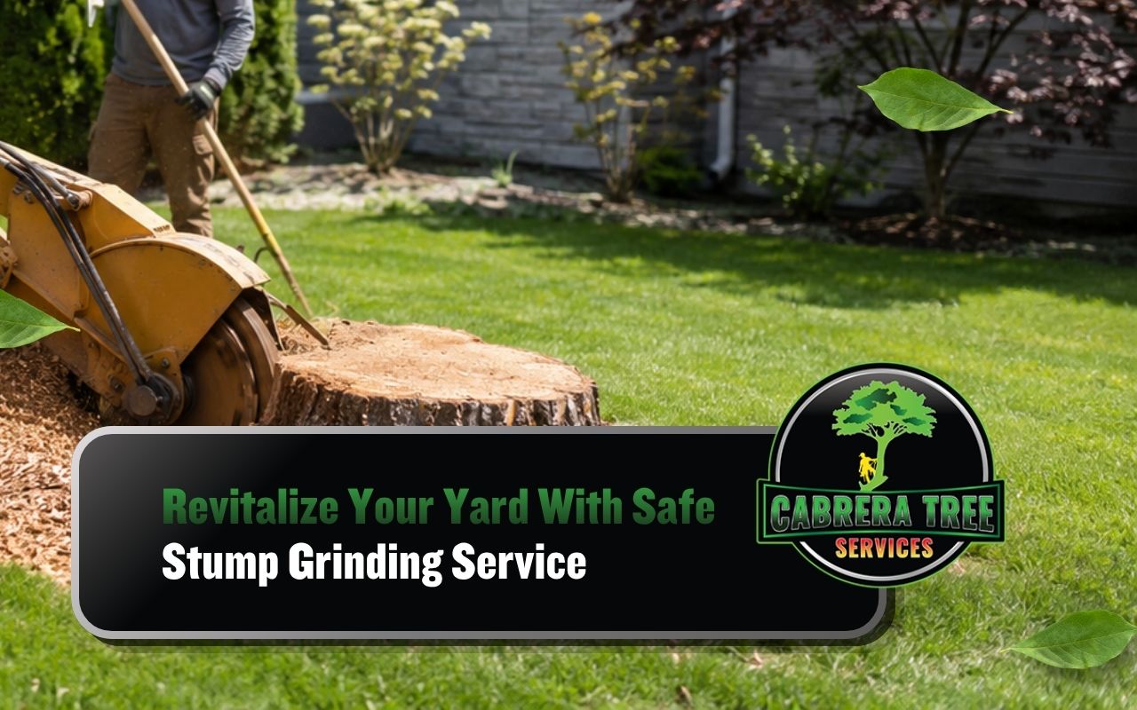 stump grinding service clearing an old tree stump from a yard