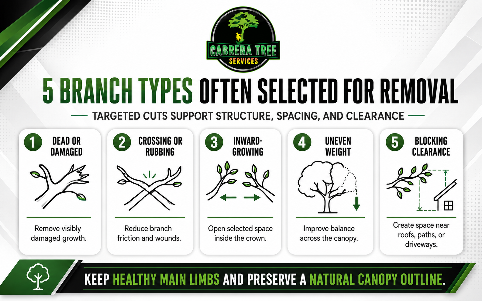 Five branch types commonly selected during canopy pruning, including damaged, crossing, inward-growing, uneven, and obstructive limbs.