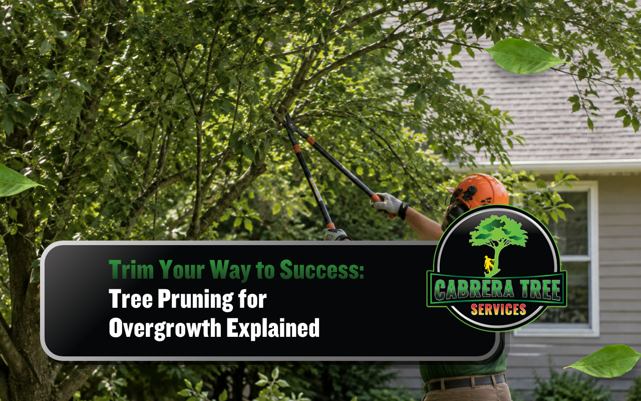Tree pruning for overgrowth on a residential property in Scottsboro