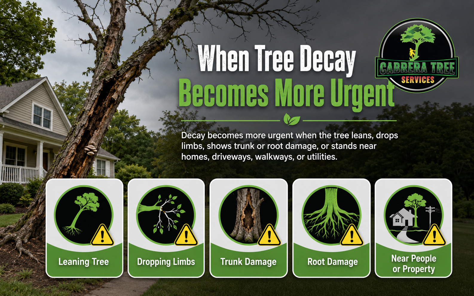 Signs of urgent tree decay, including leaning, falling limbs, trunk damage, root damage, and proximity to property