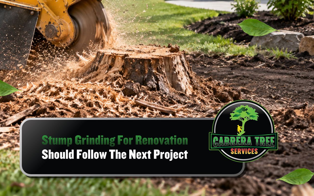 Stump grinding for renovation before a new landscape project